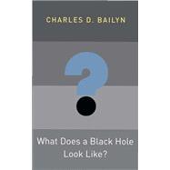 What Does a Black Hole Look Like?