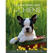 Les plus belles races de chiens