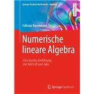 Numerische Lineare Algebra + Ebook
