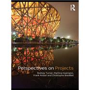 Perspectives on Projects