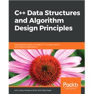 C   Data Structures and Algorithm Design Principles