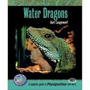 Water Dragons: A Complete Guide to Physignathus and More