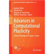 Advances in Computational Plasticity
