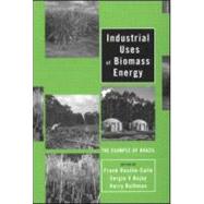 Industrial Uses of Biomass Energy: The Example of Brazil