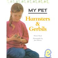 Hamsters & Gerbils