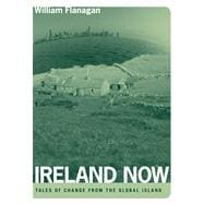 Ireland Now : Tales of Change from the Global Island