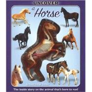 Uncover a Horse