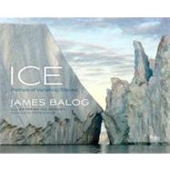 Ice Portraits of Vanishing Glaciers