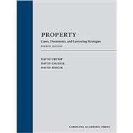 Property: Cases, Documents, and Lawyering Strategies, Fourth Edition