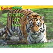 Tigres de Asia / Tigers of Asia
