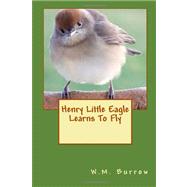 Henry Little Eagle Learns to Fly