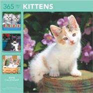 Kittens 365 Days 2010 Calendar