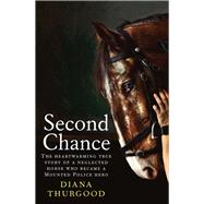 Second Chance The heartwarming true story of a neglected horse who became a Mounted Police hero