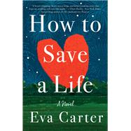 How to Save a Life A Novel