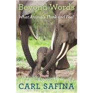 Beyond Words What Animals Think and Feel