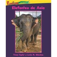 Elefantes de Asia  / Asian Elephants
