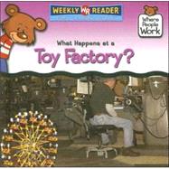 What Happens at a Toy Factory?
