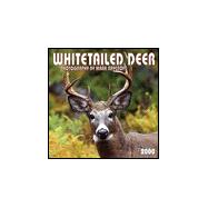 Whitetailed Deer 2000 Calendar