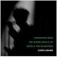 Turquoise Days The Weird World of Echo and the Bunnymen