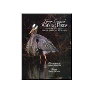 Long-Legged Wading Birds of the North American Wetlands