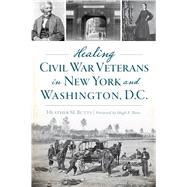 Healing Civil War Veterans in New York and Washington, D.c.
