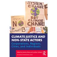 Climate Justice and Non-state Actors