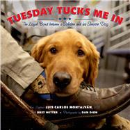 Tuesday Tucks Me In The Loyal Bond between a Soldier and His Service Dog