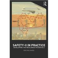 Safety-ii in Practice