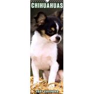 Chihuahuas Slimline 2004 Calendar