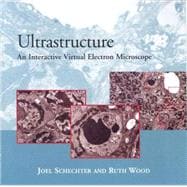 Ultrastructure An Interactive Virtual Electron Microscope