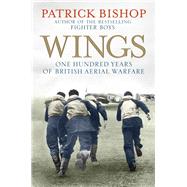 Wings One Hundred Years of British Aerial Warfare