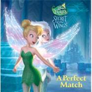 A Perfect Match (Disney Fairies)