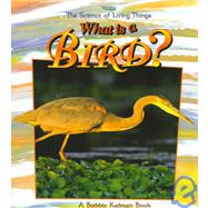 What Is a Bird?