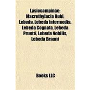 Lasiocampinae : Macrothylacia Rubi, Lebeda, Lebeda Intermedia, Lebeda Cognata, Lebeda Pruetti, Lebeda Nobilis, Lebeda Brauni