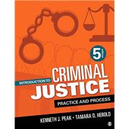 Introduction to Criminal Justice