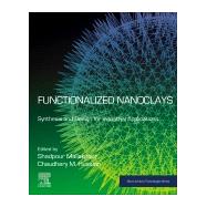 Functionalized Nanoclays