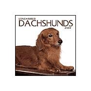 Longhaired Dachshunds 2002 Calendar