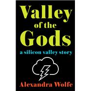 The Valley of the Gods A Silicon Valley Story