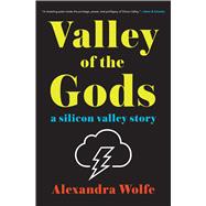 Valley of the Gods A Silicon Valley Story