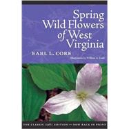 Spring Wildflowers In West Virginia