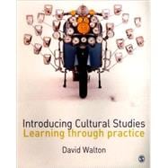 Introducing Cultural Studies : Learning Through Practice