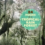 24 Hours in a Tropical Rain Forest