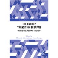 The Energy Transition in Japan