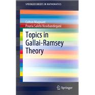 Topics in Gallai-Ramsey Theory