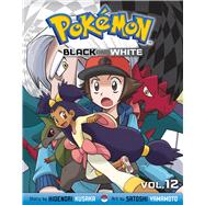 Pokémon Black and White, Vol. 12