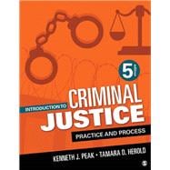 Introduction to Criminal Justice