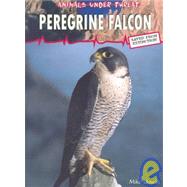 Peregrine Falcon: Saved from Extinction!