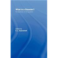 What is a Disaster?: A Dozen Perspectives on the Question