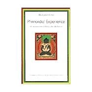 Primordial Experience An Introduction to Dzog-chen Meditation