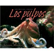 Los Pulpos/ Octopuses